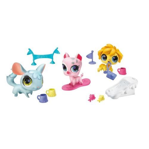 Стар Пет Купить Пета